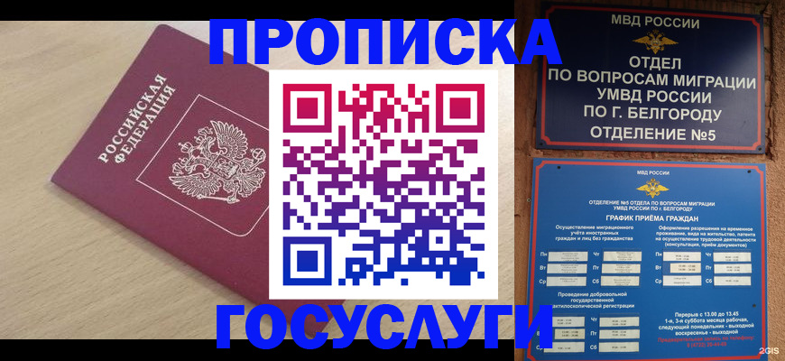 прописка законно в Калуге